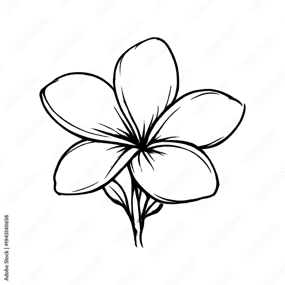 Naklejka premium PNG Minimalist line art flower illustration.