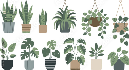 Collection of indoor houseplants in pots, modern home decor plants set, botanical flat vector illustration bundle