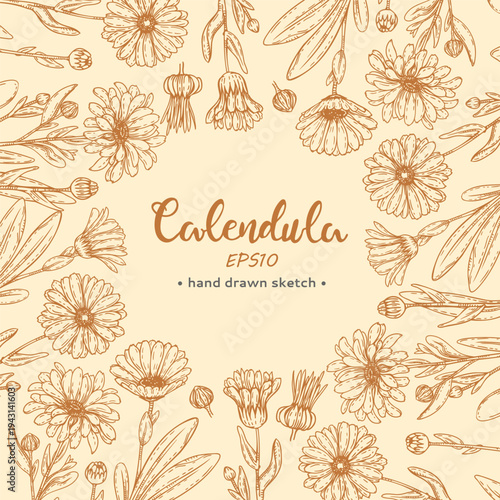 Square composition of Calendula with round place for text