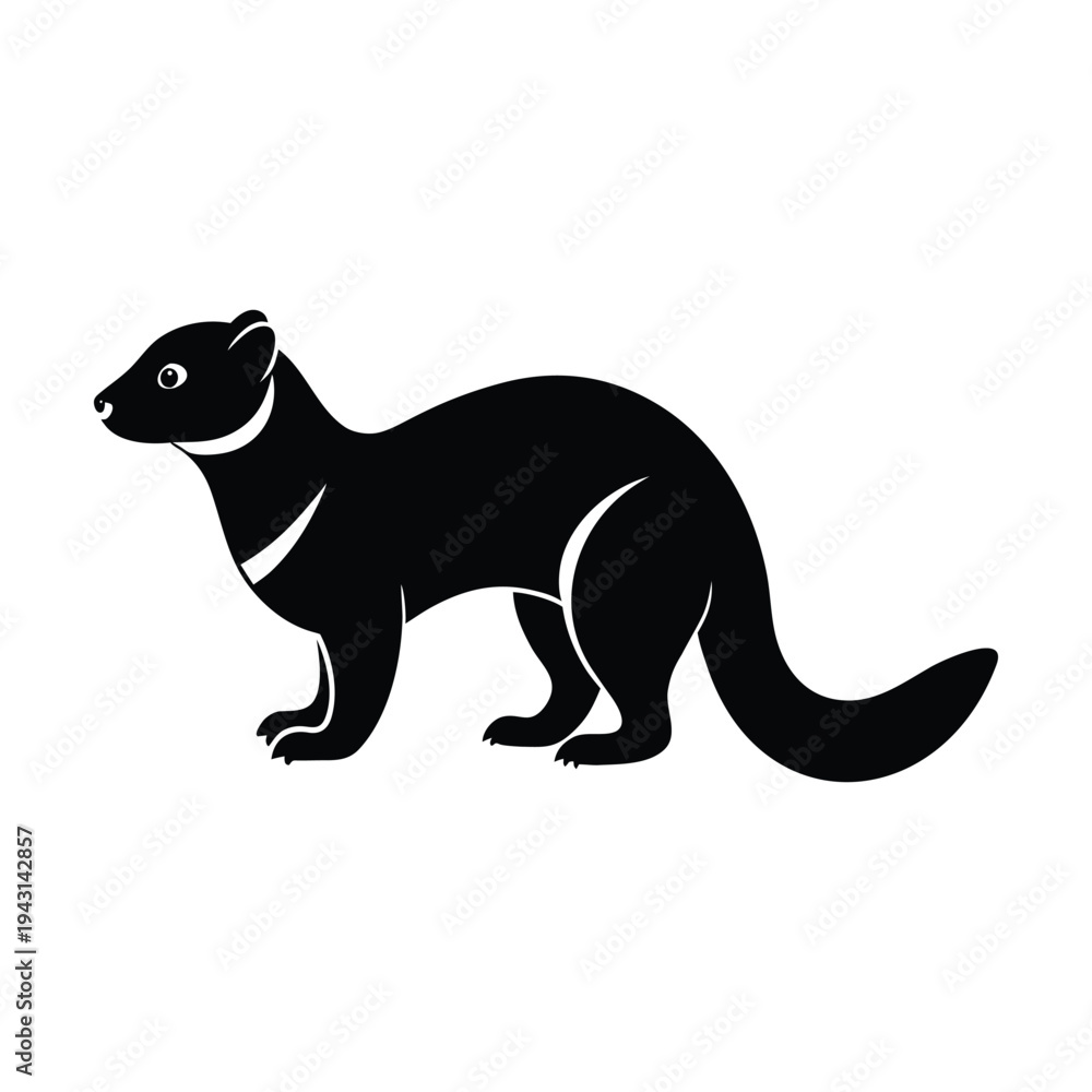 Fototapeta premium Black silhouette of a ferret standing