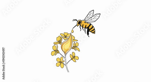 A bee collects nectar from yellow flowers