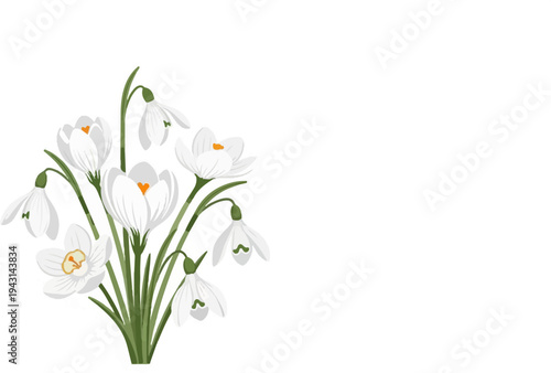 A delicate bouquet of white spring flowers with green stems on white
