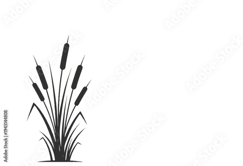 A stylized silhouette of cattails and reeds against a white background