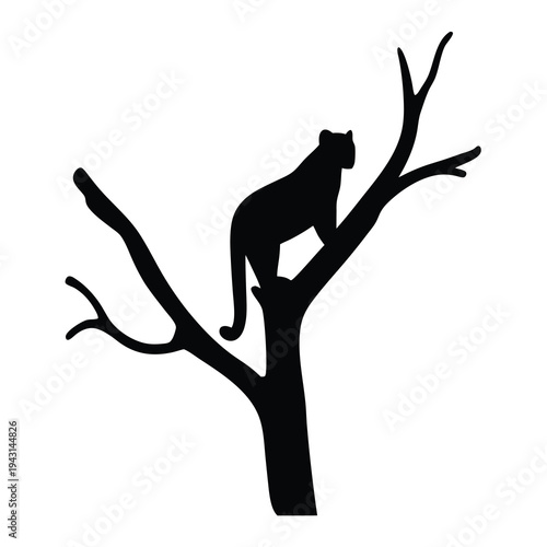 Silhouette of a black panther perched high up in a bare tree