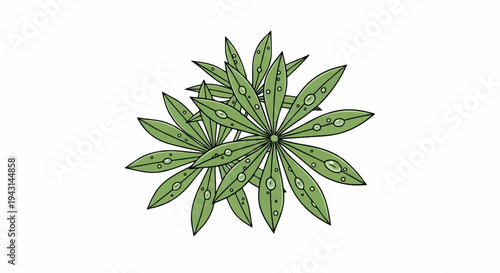 Two clusters of green leaves with dew drops