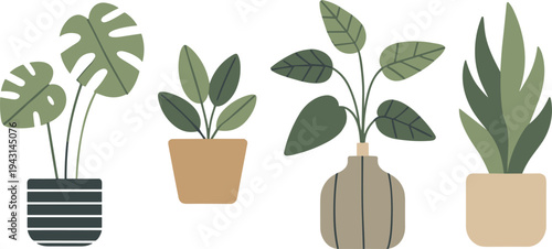 Minimal indoor houseplants in pots, modern home decor greenery set, botanical flat vector illustration 