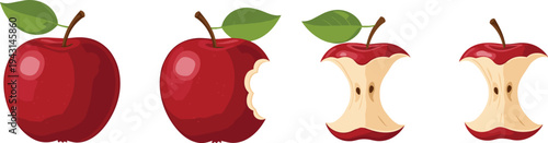 Red Apple Vector Illustration Sequence Showing Whole Bitten and Eaten Core Stages for Food