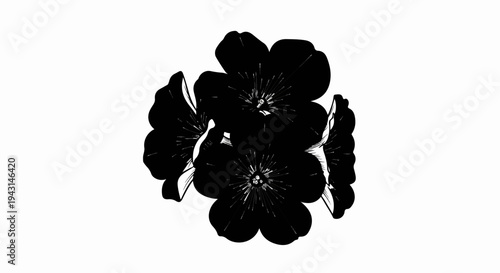 A stark monochrome illustration of a cluster of blooming flowers