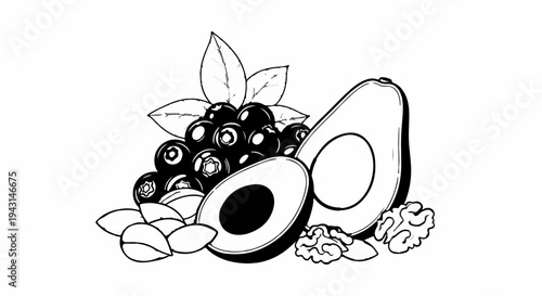 A still life illustration of healthy foods including blueberries, avocado, and nuts