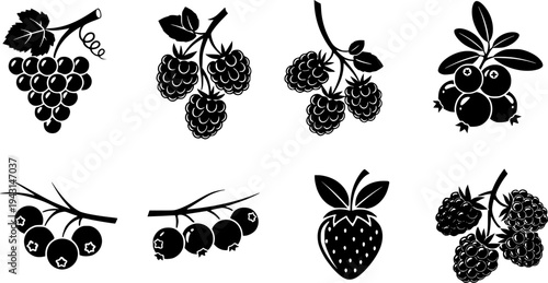 Black and White Icons of Berries on Branches and Bunch
