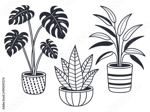 Minimalist potted plant icons: monstera, succulent, tropical leaves in geometric pots