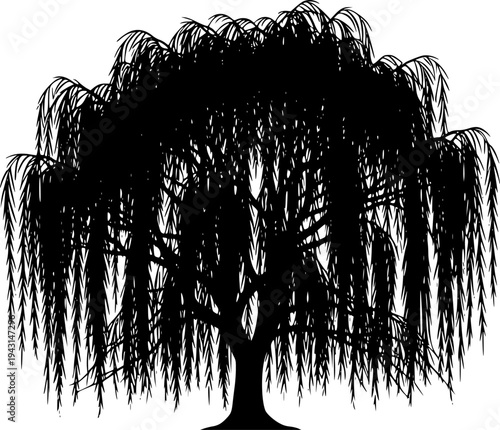 Black Silhouette of a Weeping Willow Tree with Drooping Branches and Leaves
