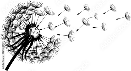 Black and White Dandelion with Seeds Blowing in the Wind
