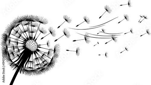 Black and White Dandelion with Seeds Blowing in the Wind

