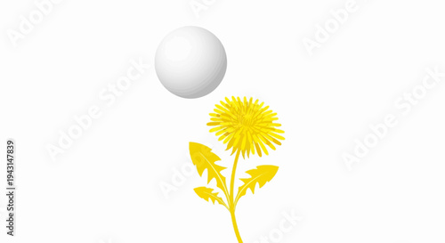 A white sphere floats above a bright yellow dandelion flower on a white background