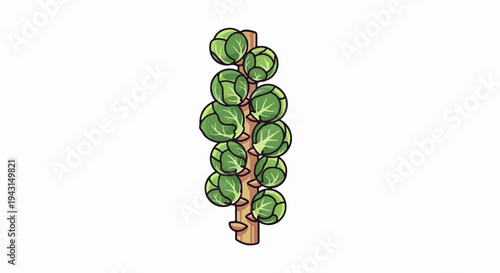 A stylized drawing of a stalk of Brussels sprouts on a light background
