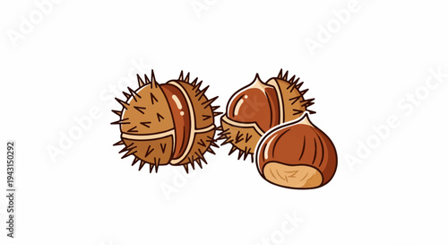 Cartoon illustration of prickly conkers and smooth horse chestnuts on white