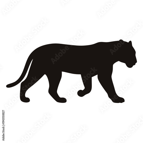 Silhouette of a panther or jaguar walking against a white background