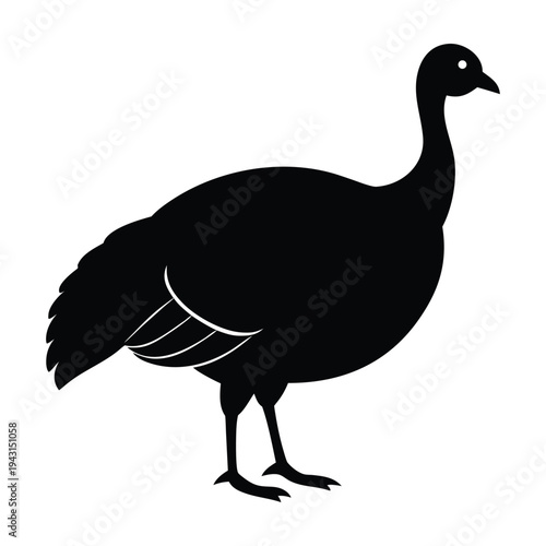 Black silhouette of a turkey standing on its legs