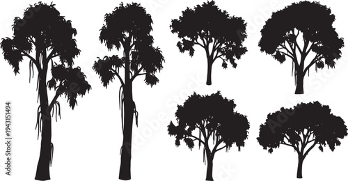 Black Solid Australian Eucalyptus Tree Silhouettes Set of Six on White Background