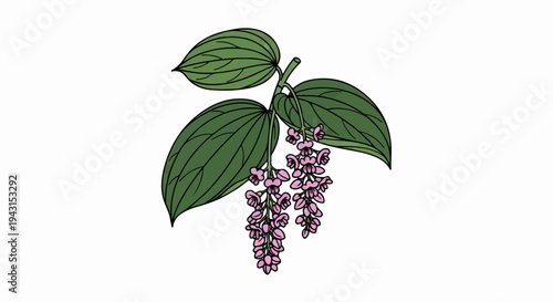 A botanical illustration of a branch with green leaves and pink flowers