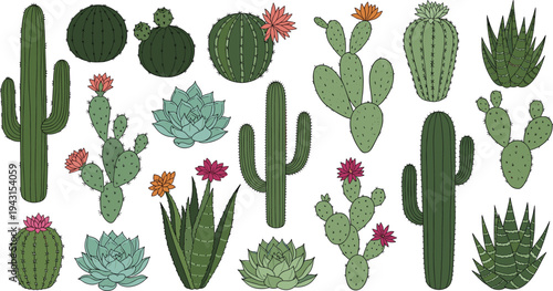 Cactus and Succulent Plants Set with Desert Cacti Aloe and Echeveria Botanical Collection Vector Illustration