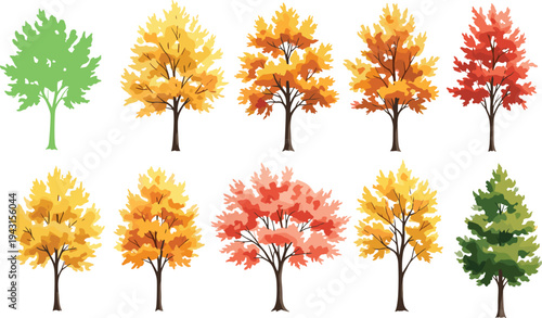 Colorful seasonal trees vector collection featuring autumn foliage spring green forest plants isolated botanical tree set for landscape design
