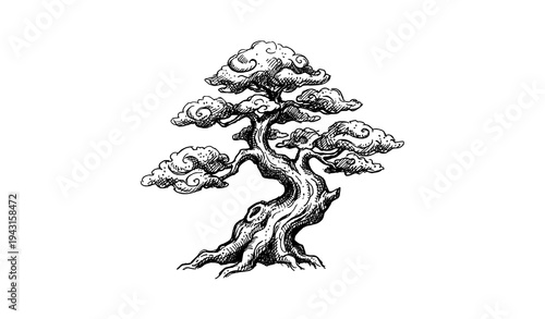 Classic bonsai tree hand-drawn black and white sketch vector illustration