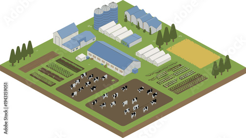 Isometric modern agricultural farm with crop fields, dairy cows, barns and silos illustrating rural farming production and agribusiness landscape