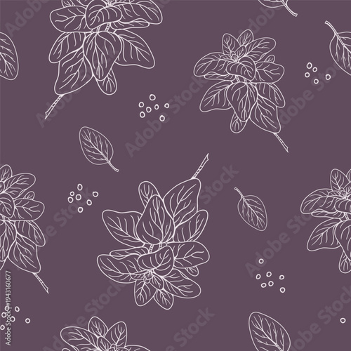 Seamless pattern of Oregano plant