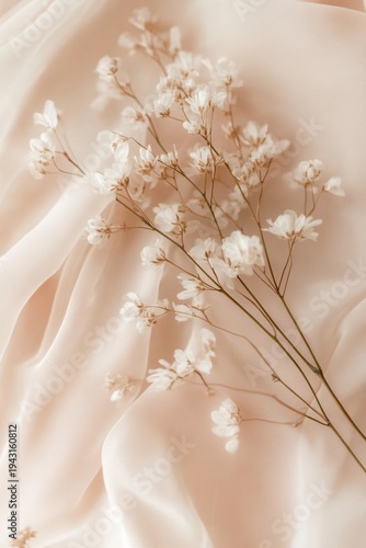 Delicate white flowers rest on soft peach fabric