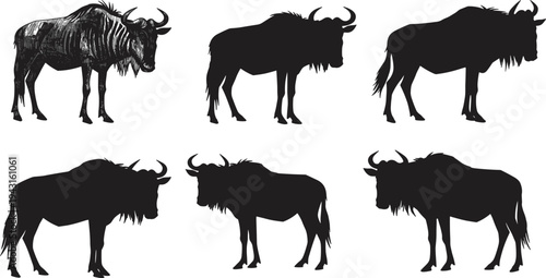 Wildebeest illustrations, silhouette poses, detailed texture, walking stance, standing posture, black design, wildlife vector, animal set, nature icon