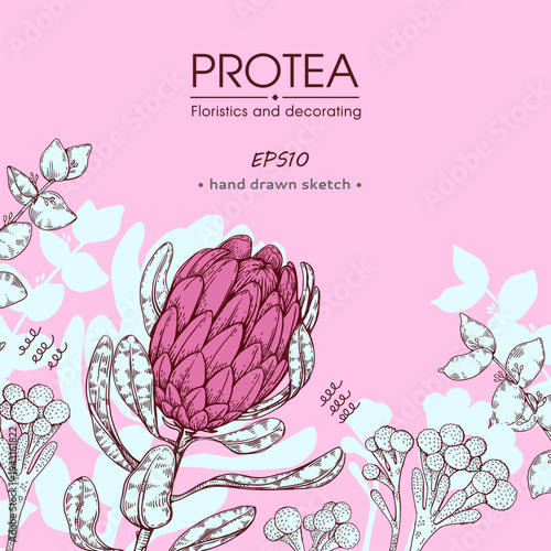  Composition of protea flower