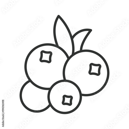 Blueberry icon in line design. blueberry berry fruit food fresh organic sweet healthy antioxidant farm market nutrition on white background vector. blueberry editable stroke icon