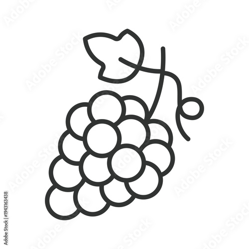 Grape icon in line design. grape grapes fruit food fresh organic vineyard sweet healthy farm market wine berry on white background vector. grape editable stroke icon