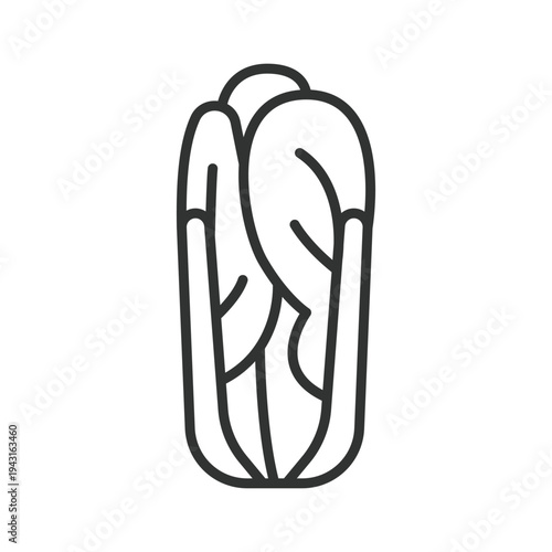 Napa cabbage icon in line design. napa cabbage chinese cabbage vegetable food fresh organic healthy cooking ingredient farm market vegan vegetarian nutrition vector. napa cabbage editable stroke icon