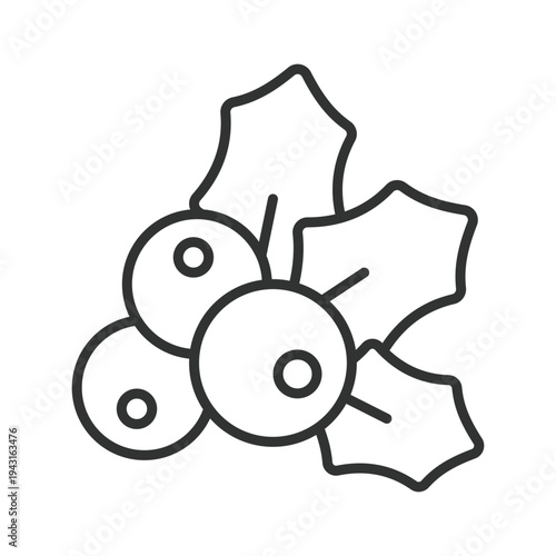 Holly berry icon in line design. holly berries with holly leaves christmas plant food fresh organic winter decoration on white background vector. holly editable stroke icon