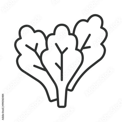 Spinach icon in line design. spinach leaf vegetable food fresh organic healthy salad ingredient farm market vegan vegetarian nutrition on white background vector. spinach editable stroke icon