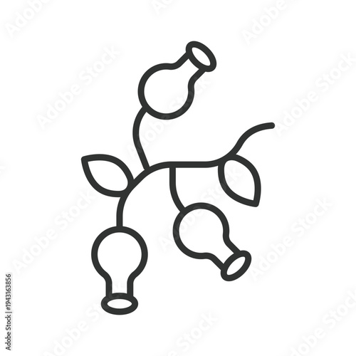 Rose hip icon in line design. rose hip berry fruit food fresh organic healthy farm market vitamin nutrition plant on white background vector. rose hip editable stroke icon