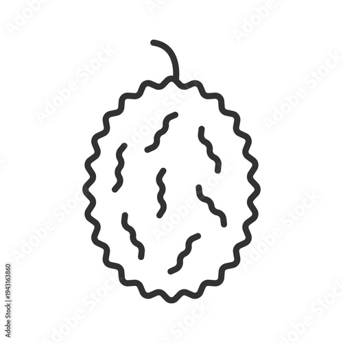 Durian icon in line design. durian fruit tropical food fresh organic exotic healthy farm market nutrition dessert ingredient on white background vector. durian editable stroke icon