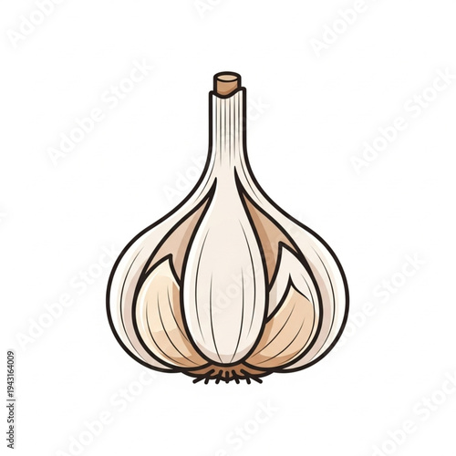 Garlic Bulb with Cloves and Stem.