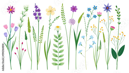 Gemini said

A vibrant spring meadow vector illustration featuring purple lavender and pink wildflowers blooming in lush green grass under a bright summer sun