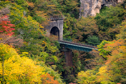 宮城県大崎市 色鮮やかな鳴子峡の紅葉と陸羽東線の鉄橋・トンネル