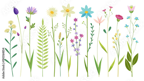 Gemini said

A beautiful spring nature illustration featuring pink blossom flowers and green grass in a floral vector design for a garden wallpaper or birthday card decoration