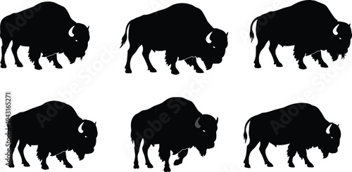 Bison silhouettes, walking poses, standing stances, side profiles, black design, wildlife vector, animal set, nature icon, buffalo anatomy