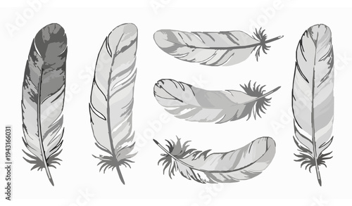Vintage engraved feather vector set with seven detailed bird feathers in classic botanical line art isolated on white background