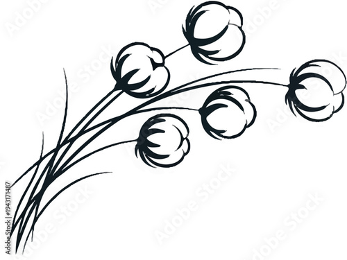A minimalist ink sketch of fluffy cotton bolls on stems