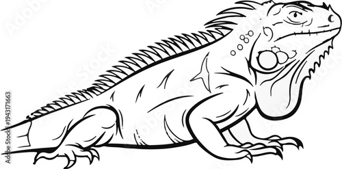 Stylized outline drawing of a reptilian creature with a prominent crest and scales