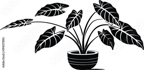  A stylish monochrome illustration showcasing a lush indoor plant in a decorative pot, its striking leaves radiating elegance and serenity.