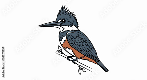 Stylized illustration of a kingfisher perched on a thin branch